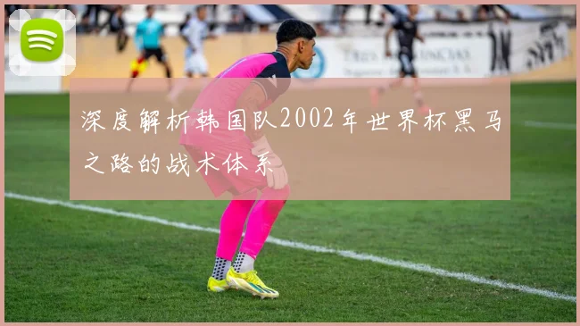 深度解析韩国队2002年世界杯黑马之路的战术体系